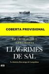 LLÀGRIMES DE SAL