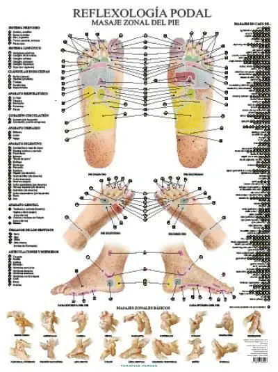 Reflexología Podal