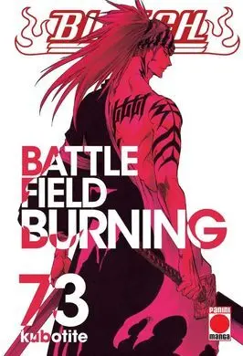 Bleach 73