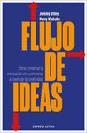 FLUJO DE IDEAS