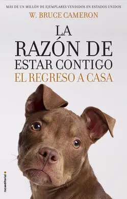 La Razón de Estar Contigo. El Regreso a Casa