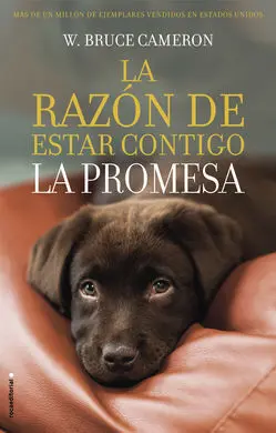La Razón de Estar Contigo. La Promesa