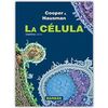 LA CÉLULA T.D.