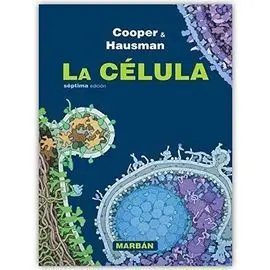 La Célula T. d.