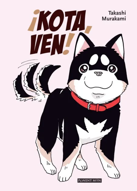 ­Kota, Ven!