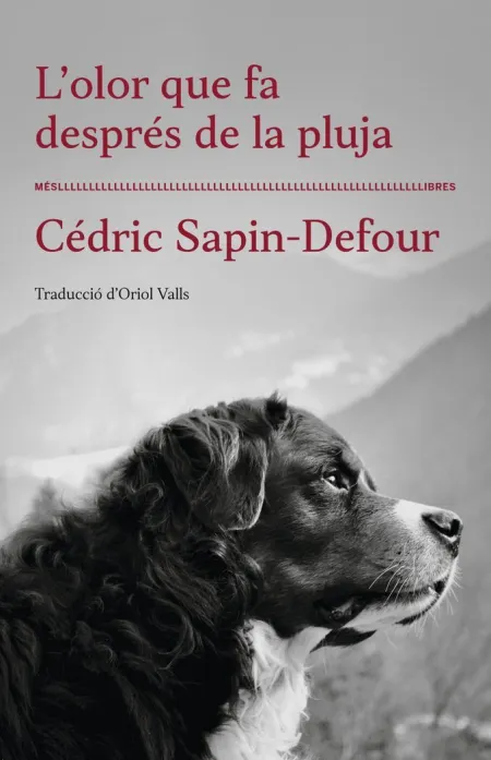L'olor que Fa Despres de la Pluja