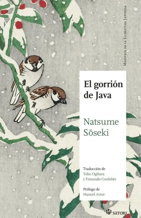 Gorrion de Java,El