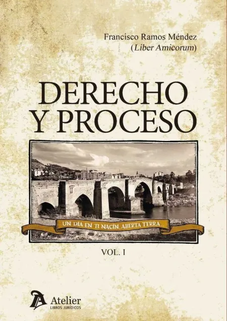 Derecho y Proceso 3 Vols.