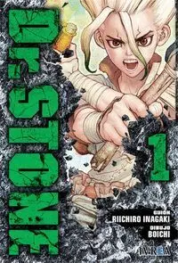 Dr. stone 01