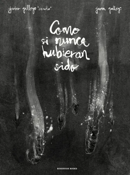 Como si Nunca Hubieran Sido