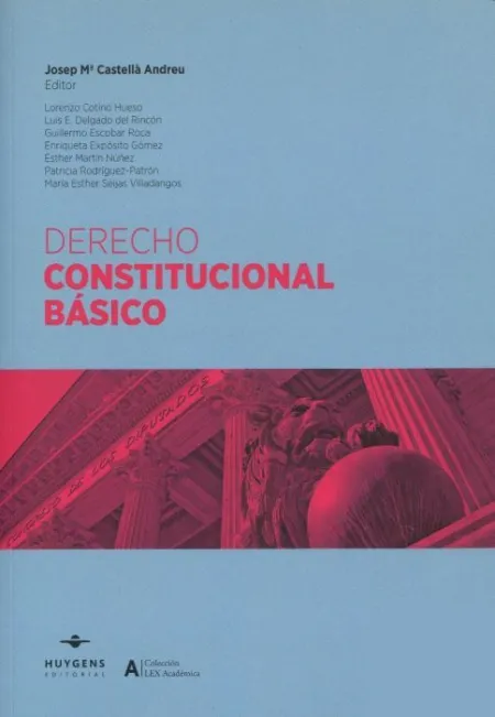 Derecho Constitucional Basico 2025