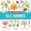DESCOBREIXO ELS ARBRES I APRENC A RECONÈIXER-LOS