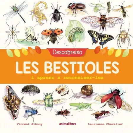 Descobreixo les Bestioles I Aprenc a Reconèixer-Le