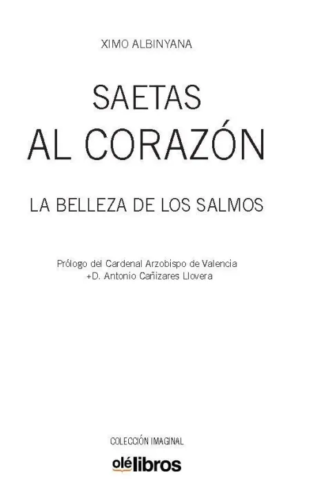 Saetas Al Corazon /La Belleza de los Salmos