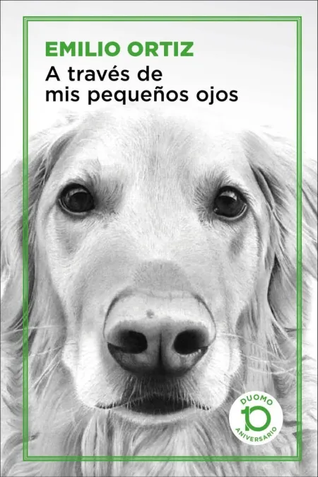 A Través de Mis Pequeños Ojos