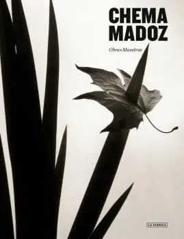 Chema Madoz. Obras Maestras.