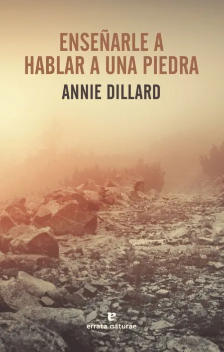 Enseñarle a Hablar a una Piedra