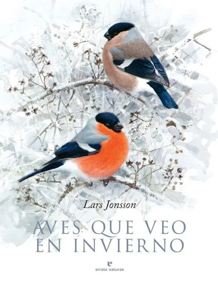 Aves que Veo en Invierno