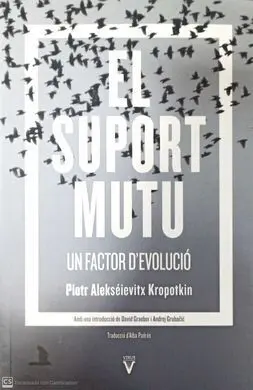 Suport Mutu, el