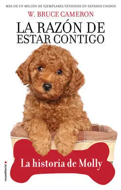 Razon de Estar Contigo. historia de Molly