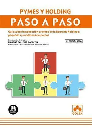 Pymes y Holding. Paso a Paso.