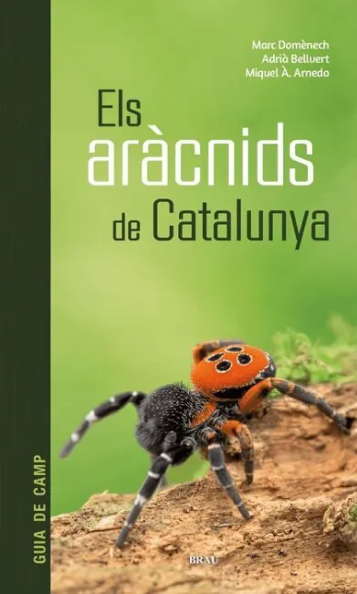 Els Aràcnids de Catalunya