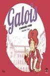 Galois el Matematico Rebelde