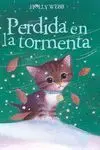 Perdida en la Tormenta