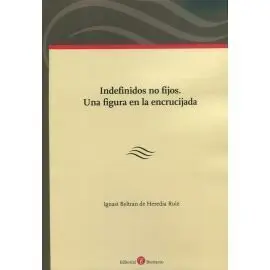 Indefinidos no Fijos. Una Figura en la Encrucijada