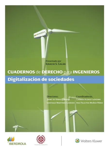 Cuadernos de Derecho para Ingenieros (N. º 54)