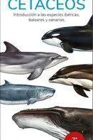 Cetaceos /Introduccion a las Especies Ibericas, Ba