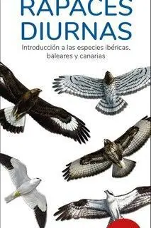 Rapaces Diurnas (13ª Edicion)