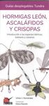 HORMIGAS LEON ASCALAFIDOS Y CRISOPAS / GUIAS DESPLEGABLES