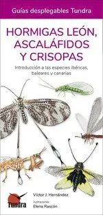 Hormigas Leon Ascalafidos y Crisopas / Guias Desplegables