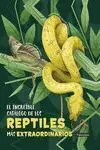 Increible Catalogo de los Reptiles Mas Extraordina