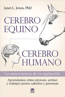 Cerebro Equino, Cerebro Humano