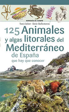 125 Animales y Algas Litorales del Mediterráneo de