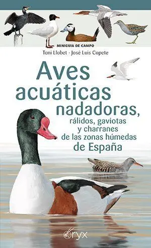 Aves Acuáticas Nadadoras, Rálidos, Gaviotas y Char
