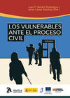 VULNERABLES ANTE EL PROCESO CIVIL