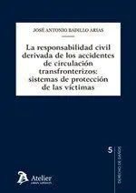 Responsabilidad Civil Derivada de los Accidentes D