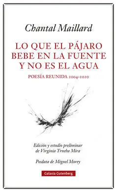Lo que el Pájaro Bebe en la Fuente y no Es el Agua