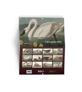 Calendario Aves de América