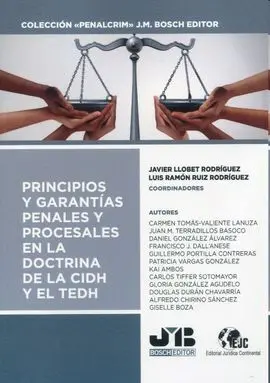 Principios y Garantías Penales y Procesales en la Doctrina de la Cidh y el Tedh