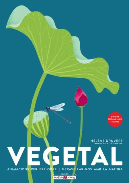 Vegetal Cat