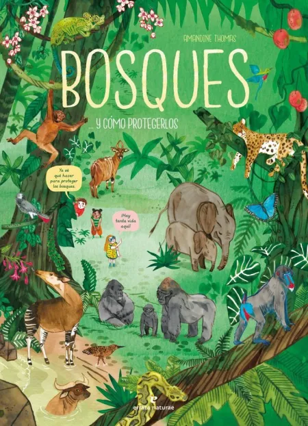 Bosques y Cómo Protegerlos