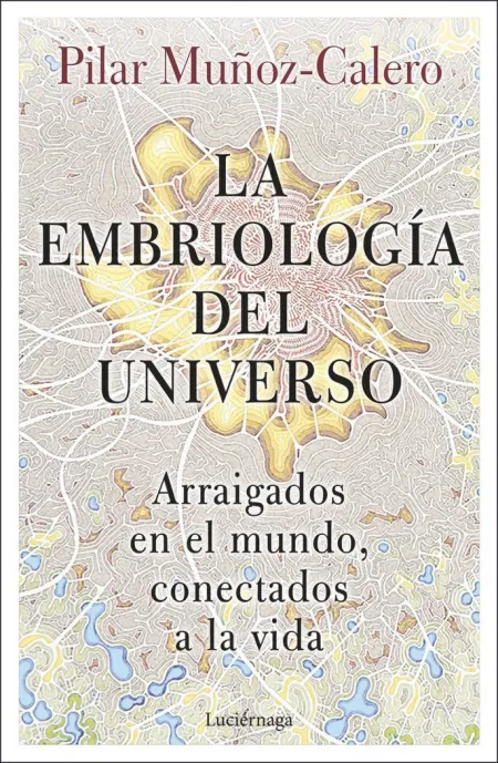 La Embriologia del Universo