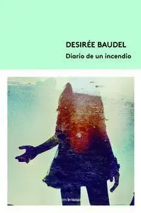 Diario de un Incendio