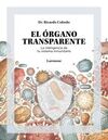 EL ÓRGANO TRANSPARENTE