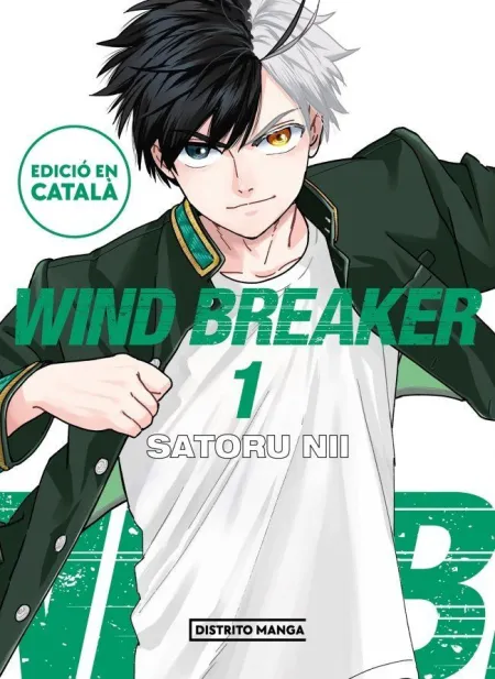 Wind Breaker 1