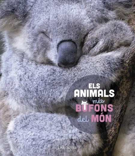 Els Animals Més Bufons del Món